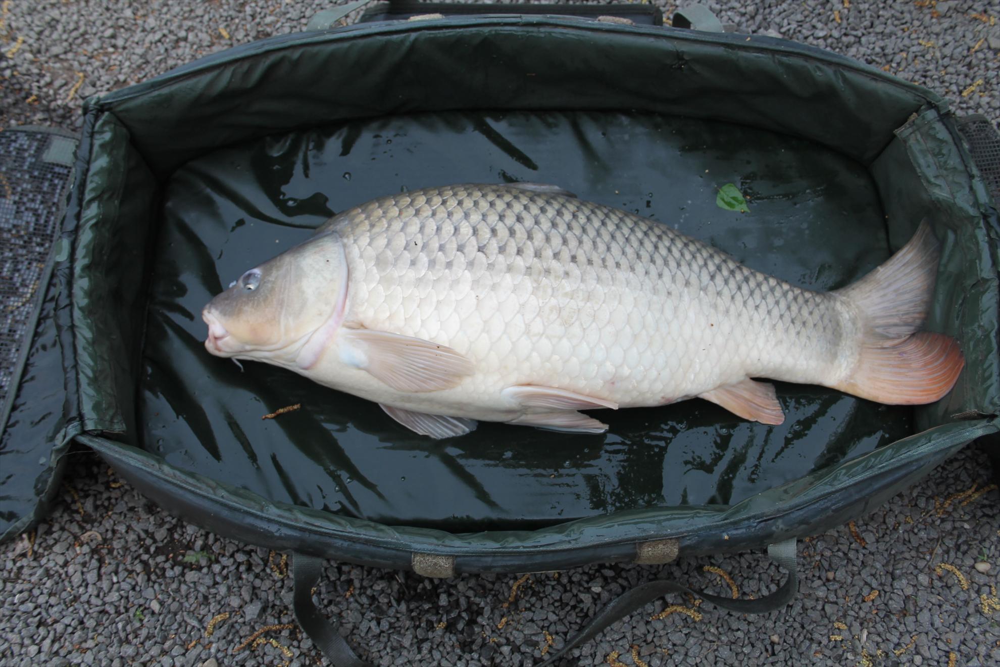 Nagykallo 2013 FedeerTeamUnique - nagykallo-aprilie2013-564.JPG